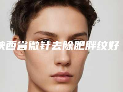 陕西省微针去除肥胖纹好的整形医院(西安国际医学中心医院整形医院人气高)
