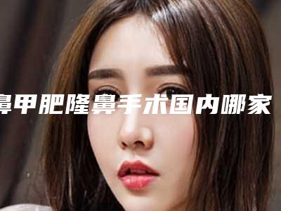 鼻甲肥隆鼻手术国内哪家医院好:鼻甲肥隆鼻手术医院top50惊喜上线